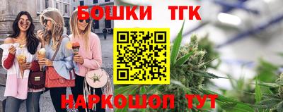 молекула духа Будённовск