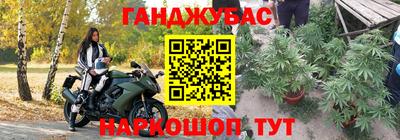 молекула духа Будённовск