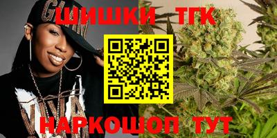 молекула духа Будённовск