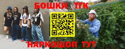 молекула духа Будённовск