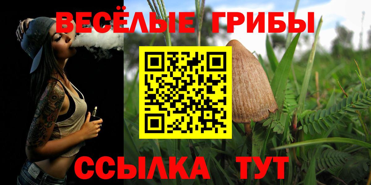 Псилоцибиновые грибы мухоморы  Вход с VPN  Тында 